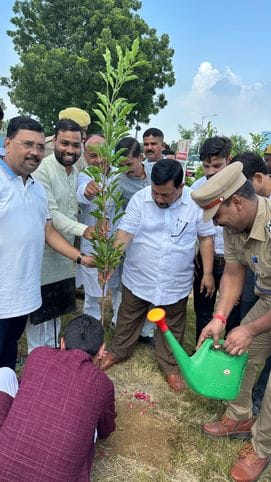 The MP planted a tree in the name of his mother