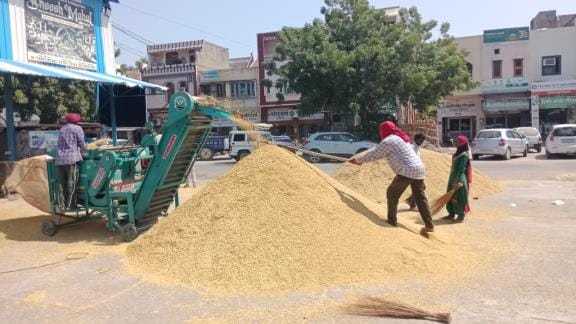 There has been a spurt in the arrival of paddy in the grain markets of the district.