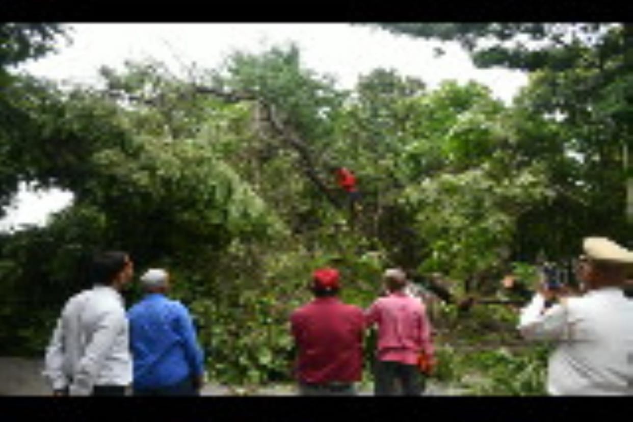 Tree fell near guest house, explosion due to short circuit near DDU Gate, in Gorakhpur