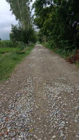 Road construction has been stalled for a month and a half, causing injuries to pedestrians