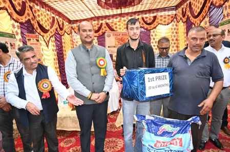 Atin and Vidya's calves first in the cow rally
