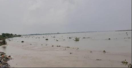 The water level of the Saryu River reached the warning point, water reached the fields.