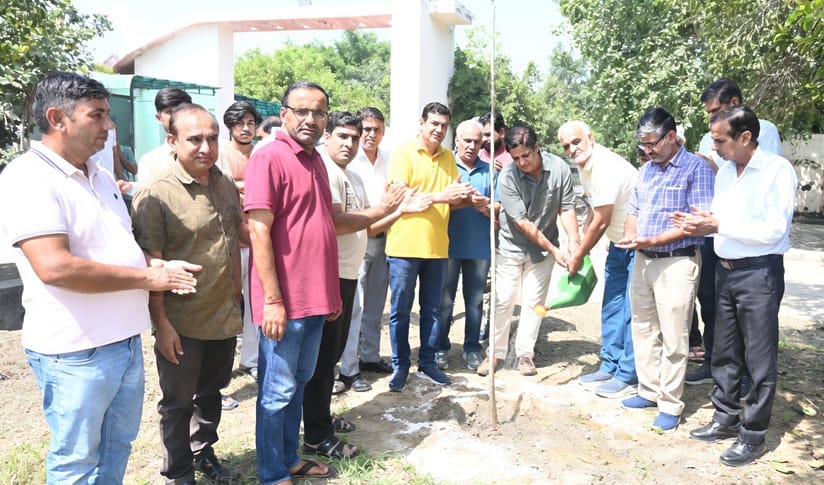 Greenery is the basis of a clean and healthy life: Prof. Malik