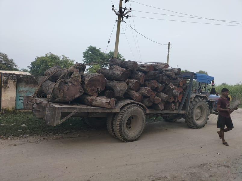 70 quintals of Khair wood cut from Kartania forest recovered