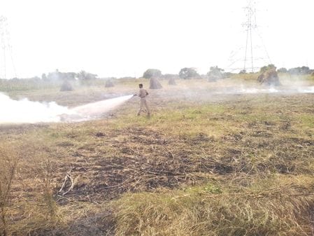 Half an acre of millet fields in village Sehore turned to ashes.