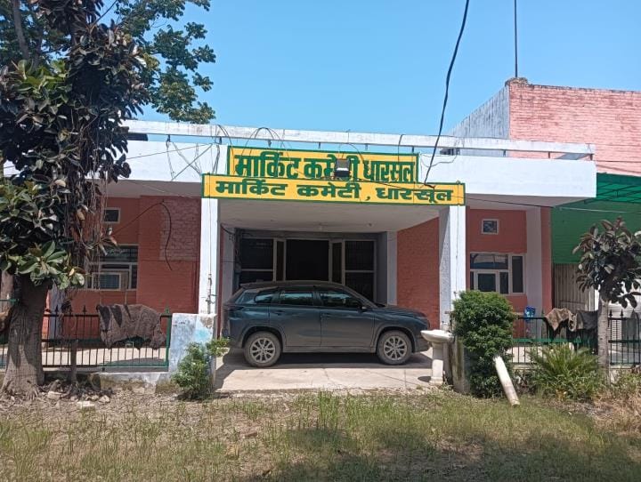 Questions are being raised again on the government purchase of paddy in Dharsool area