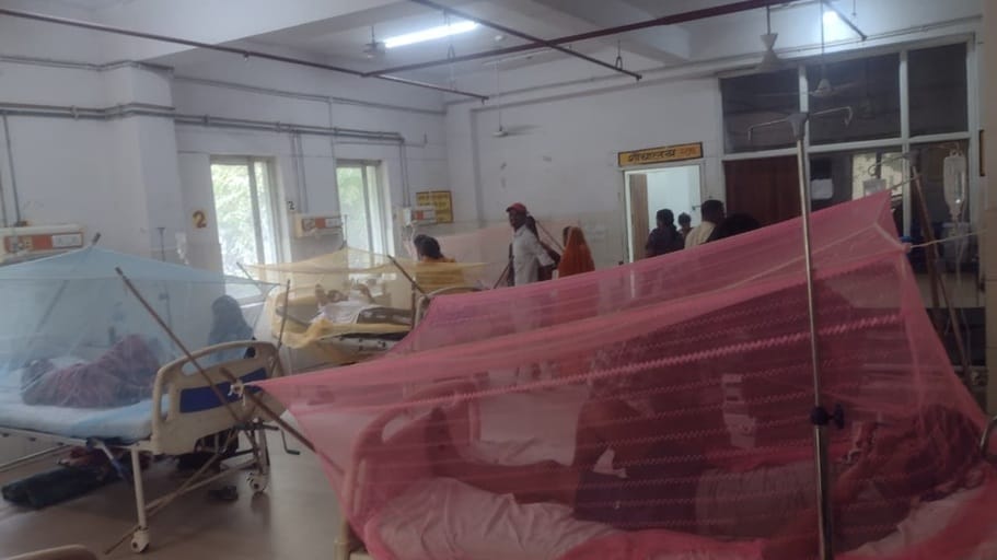Four patients in the dengue ward, blood samples taken for ELISA test