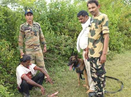 Maihar Forest Department takes major action, two accused of hunting wild boar arrested