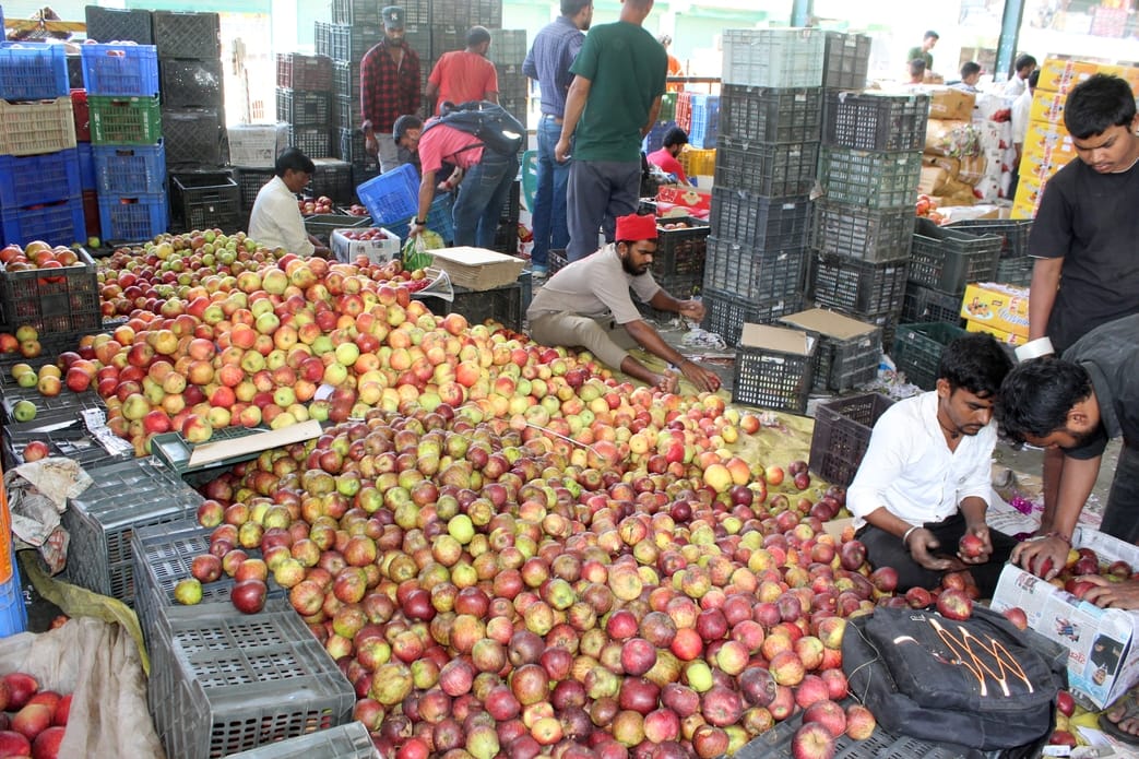 Kullu's red apple is hidden in the glow of Kashmiri apples.