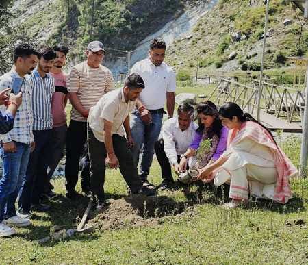 BJP workers planted trees in Bani
