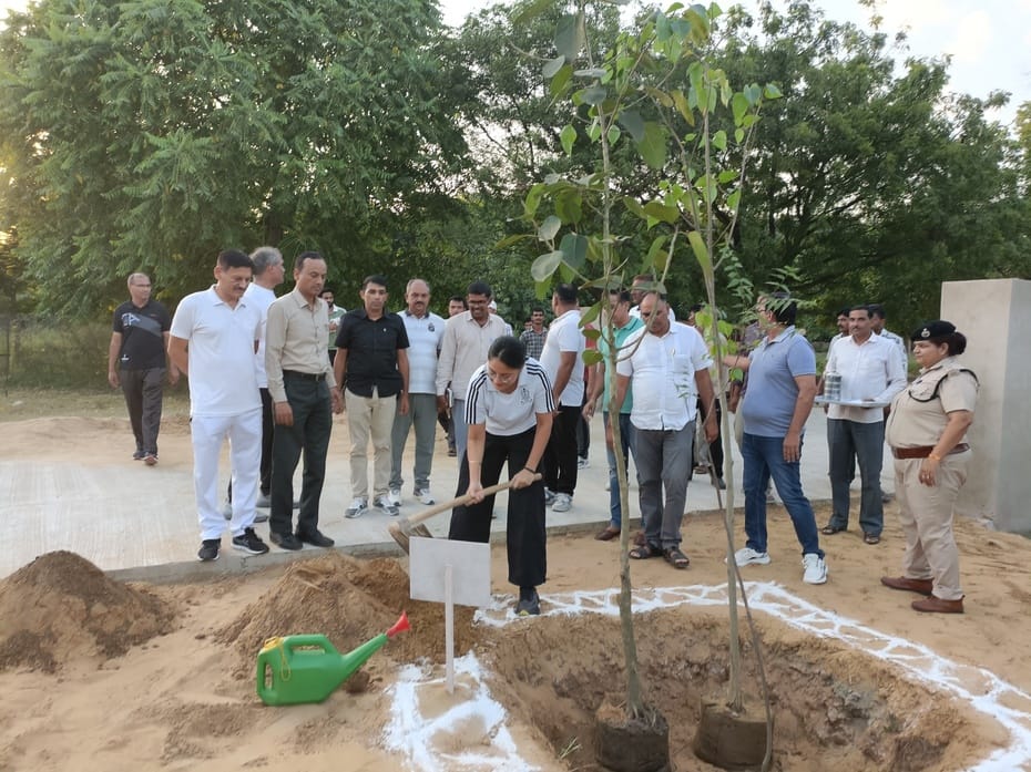 Plant fruitful and shady trees in the firing range