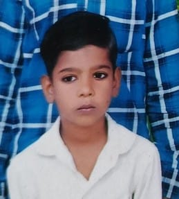 Student dies after being bitten by a poisonous insect