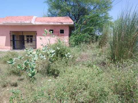 One week to start the purchase of millet, no attention to cleanliness and drinking water arrangements