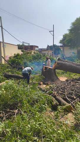 agra news fatehabad forest mafia