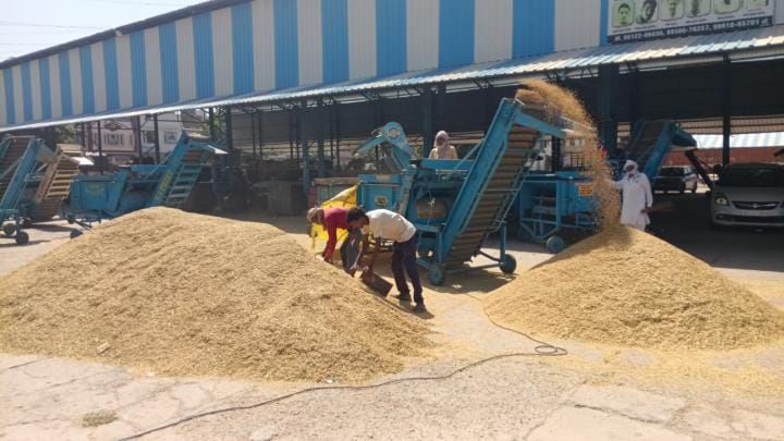 Paddy procurement begins, no arrivals on the first day