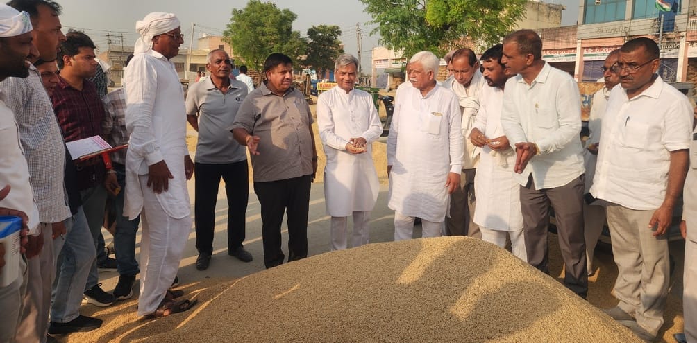 Kailash Saini inaugurated the purchase of paddy at Babain grain market.