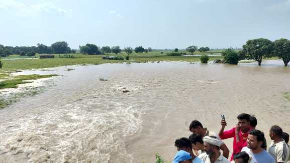Thousands of acres of crops submerged due to breach in Gang Canal, farmers surrounded JE