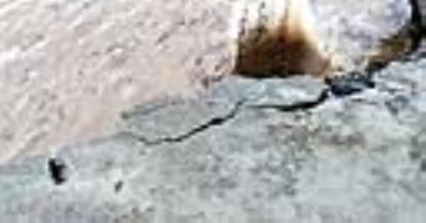Ganga on the decline, erosion intensifies