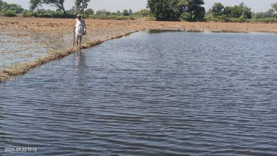 Waterlogged fields, farmers' dreams shattered