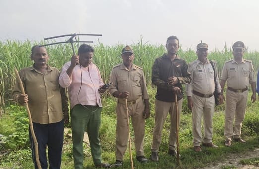 The forest department could not catch the tigress of Barauncha