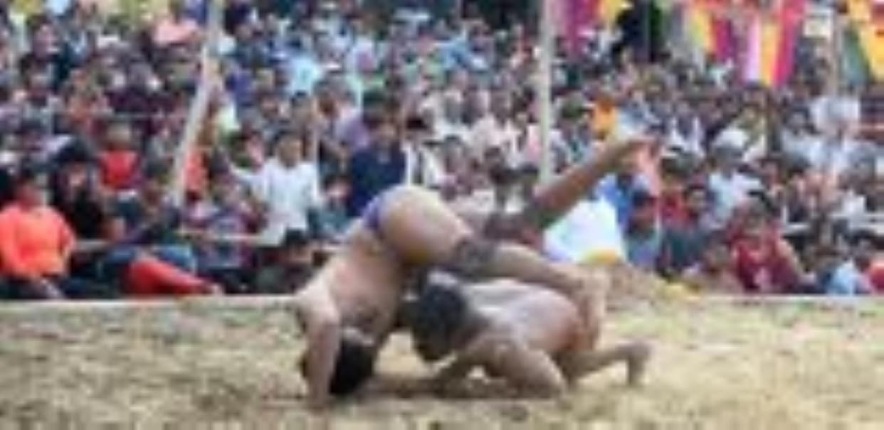 Wrestlers showed their skills in the arena