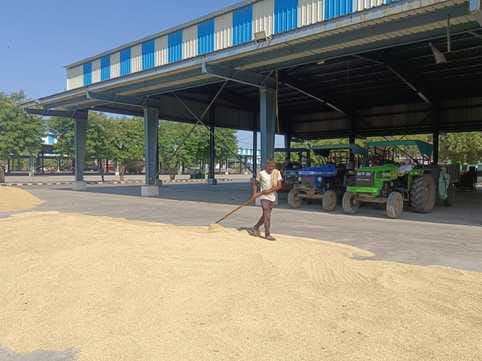 750 quintals of PR paddy arrived at the market, but no purchases were made.