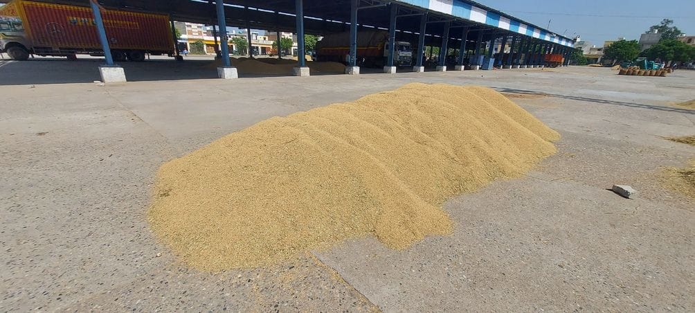 5,079 quintals of paddy arrived in Narwana Mandi, but no government procurement took place.