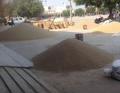 400 quintals of PR paddy arrived on the second day, but was not purchased even today.