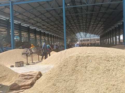 No purchase in Pai Mandi, 10 thousand bags ready for lifting