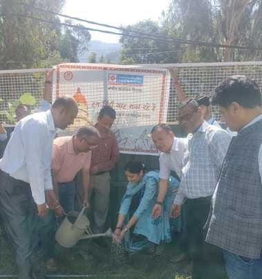 Medicinal plants planted in Polytechnic Institute, Rohru