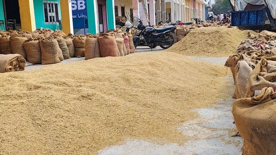 Procurement of paddy and millet in Bareilly from October 3
