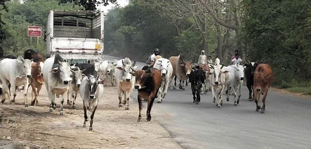 unnao news