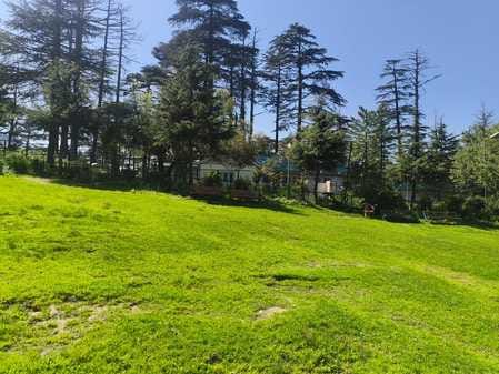 Udhampur, Patnitop, Buisness News, No Tourist Came