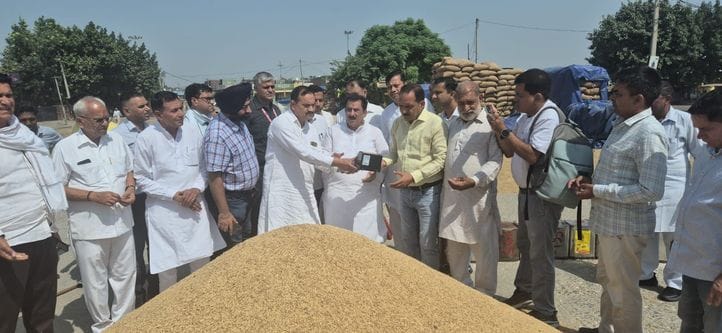 On the first day, 7990 quintals of paddy was procured in eight mandis in the district.