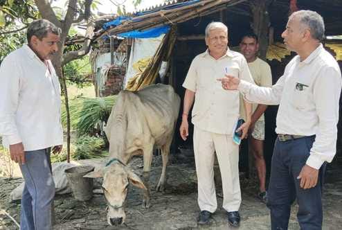 Nodal officer reached the village regarding Lumpi virus, checked the situation