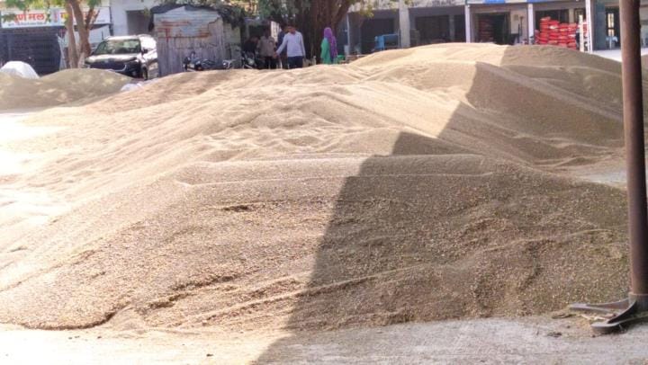 Farmers will also get a bonus of Rs 625 on private sales, procurement of millet and moong will start from today.