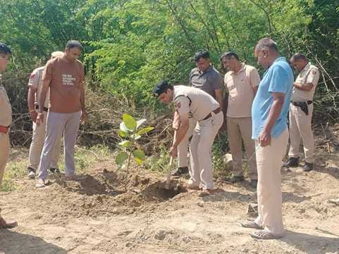 ACP and police personnel planted trees at Matanhel outpost.