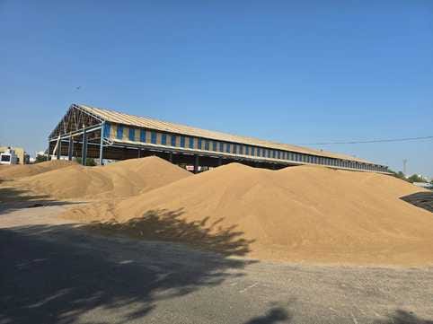Farmers' data from "My Crop, My Details" was not recorded on the e-procurement portal, gate passes were not being issued, leading to delays in procurement.