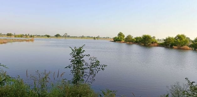 Motors installed, but to no avail... flood situation in Bhikhewala and Farain Kalan, administration sluggish