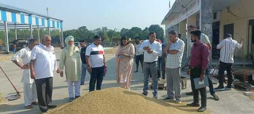 Paddy procurement begins in the grain market, with arrival of over 74,000 quintals.