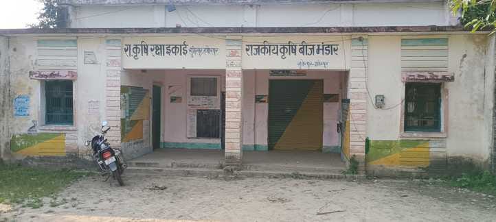 After fertilizers, now farmers are worried about the seed crisis.