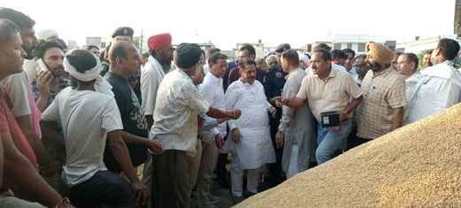 The state government stands with the farmers: Nagar