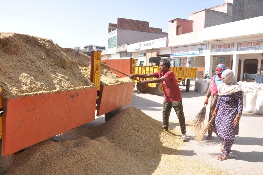250 quintals of paddy arrived at the grain market, but no purchase was made even on the third day.