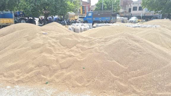 The difference of Rs 525 per millet in Haryana compared to Rajasthan can spoil the mathematics of government procurement.