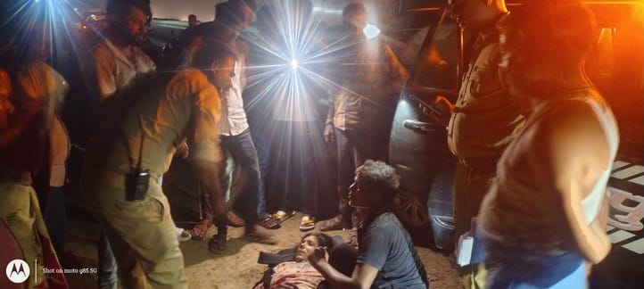 Van overturns while trying to save cattle, six people including a woman injured