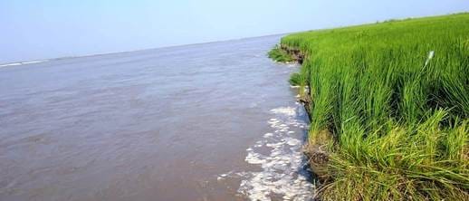 Farmers are crying due to erosion of Ganga