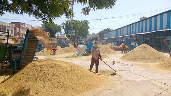 Three agencies have been allotted 86 rice mills, and will have to pay 67 kg of rice for each quintal of paddy