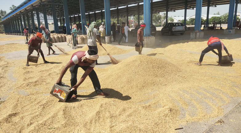 The agency did not purchase paddy in Bapauli Mandi citing moisture in it.