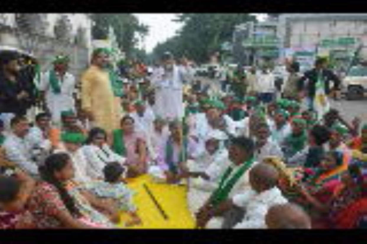 The Municipal Corporation came under pressure and released the animals without any fine.