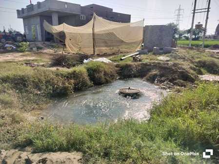 Waterlogging in the fields is damaging crops